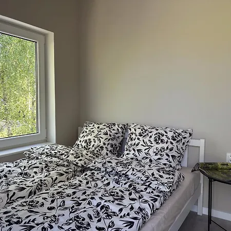 Dzika Brzoza * Rusinowo (Slawno)