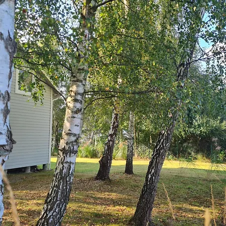 Διαμέρισμα Dzika Brzoza