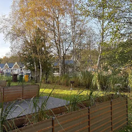 Dzika Brzoza * Rusinowo (Slawno)