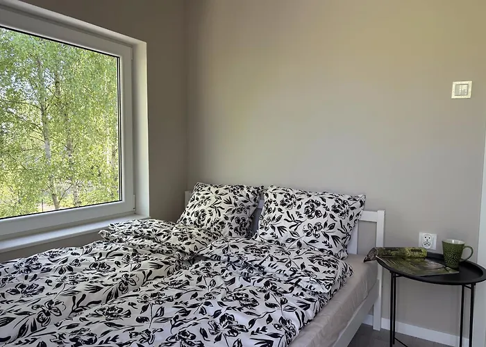 Dzika Brzoza * Rusinowo (Slawno)