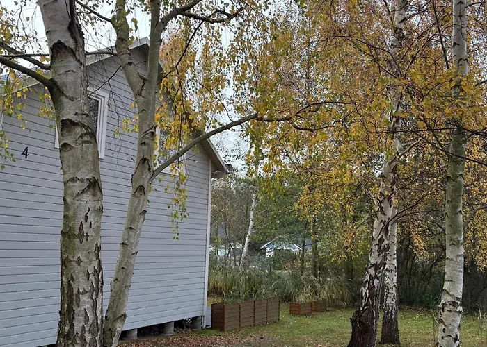 Appartamento Dzika Brzoza