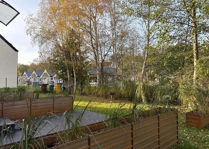 Dzika Brzoza * Rusinowo (Slawno)